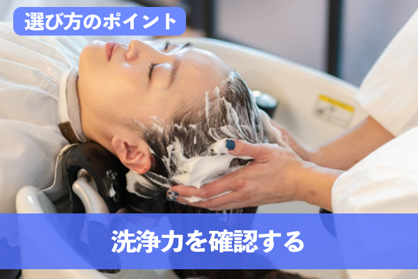 洗浄力を確認する